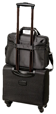 Small Luggage